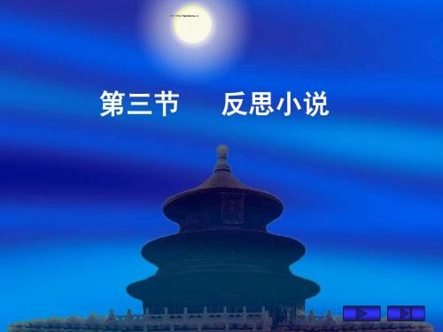 反思小说.ppt