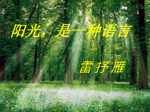 阳光,是一种语言(雷抒雁)
