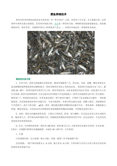 黑鱼养殖技术介绍