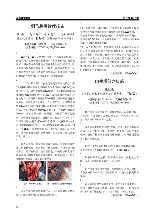 一例马腺疫诊疗报告