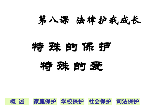 七年级政治法律护我成长1