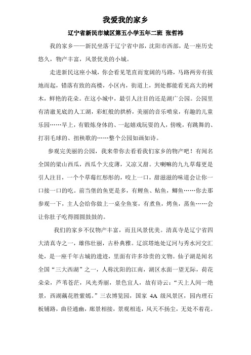 我爱我的家乡新民市城区第五小学四年二班张哲祎