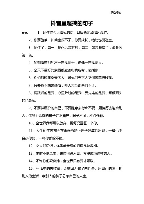 抖音里超拽的句子