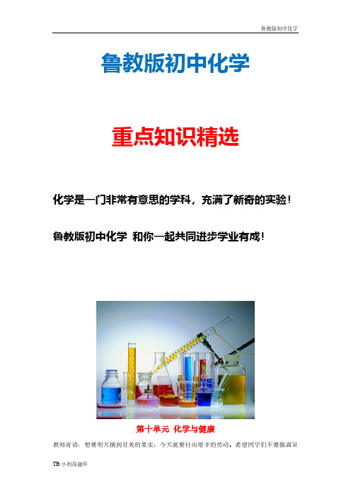 新版鲁教版初中化学九年级上册第十单元 与健康复习学案