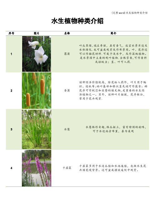(完整word)水生植物种类介绍
