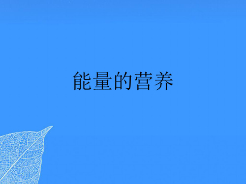【正式版】能量的营养PPT文档