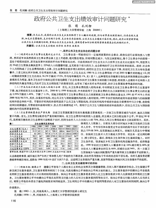 政府公共卫生支出绩效审计问题研究