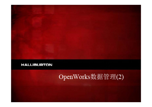 LANDMARK5000学习Day4_OpenWorks_R5000_DM