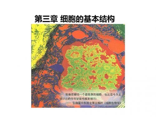 人教版高中生物优秀课件必修一：第三章 细胞的基本结构1 课件(共28张PPT)