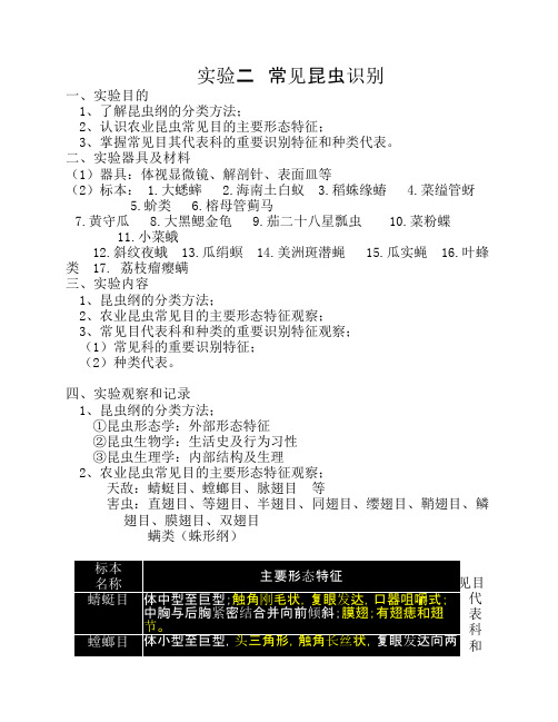 实验二常见昆虫识别