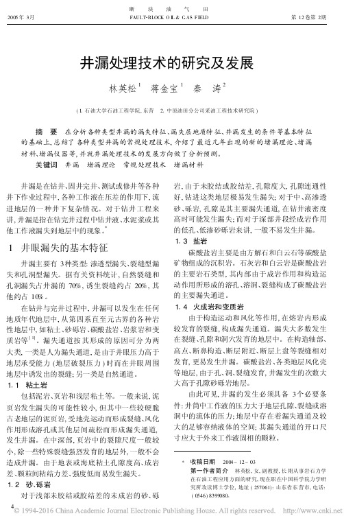 井漏处理技术的研究及发展