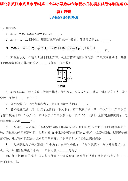 湖北省武汉市武昌水果湖第二小学小学数学六年级小升初模拟试卷详细答案(5套)精选