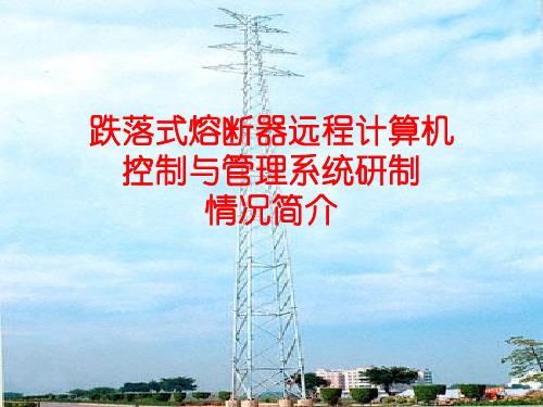 跌落式熔断器介绍