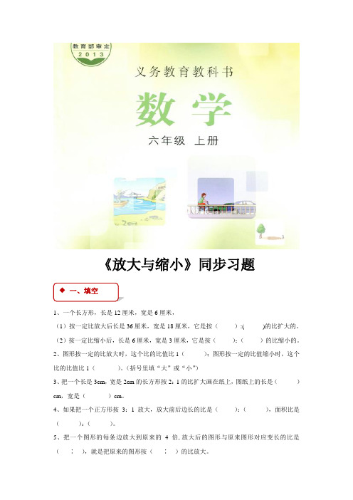冀教版六年级数学上册同步练习题《放大与缩小》