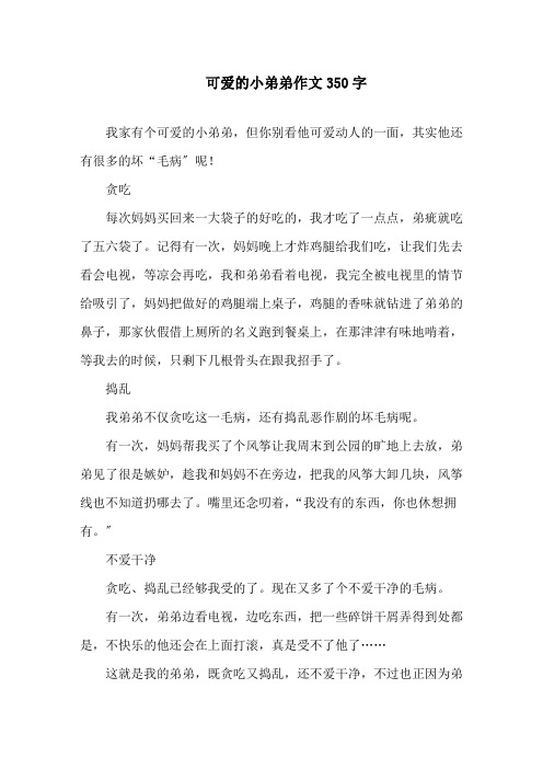 中小学可爱的小弟弟作文350字