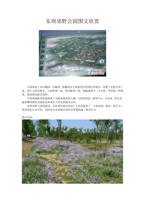东坝郊野公园图文欣赏