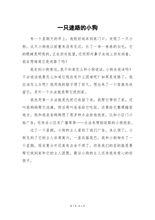 一只迷路的小狗_四年级作文_1