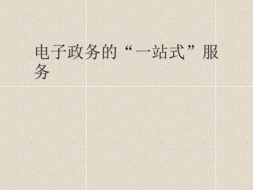 电子政务 “一站式”服务