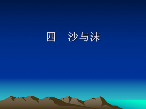 语文：第4课《沙与沫》课件(长春版七年级下)