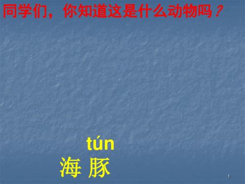 海豚救人ppt课件