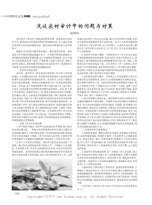浅谈农村审计中的问题与对策