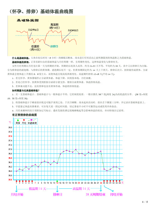 解读孕前基础体温