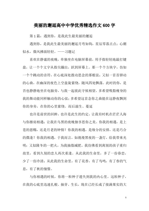 美丽的邂逅高中中学优秀精选作文600字