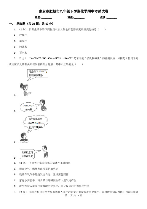 泰安市肥城市九年级下学期化学期中考试试卷