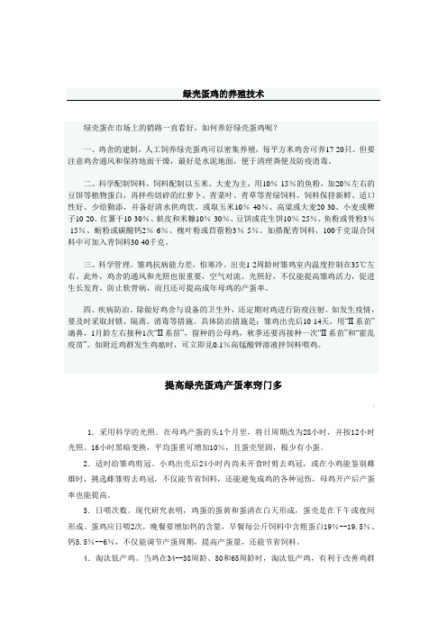 绿壳蛋鸡的养殖技术