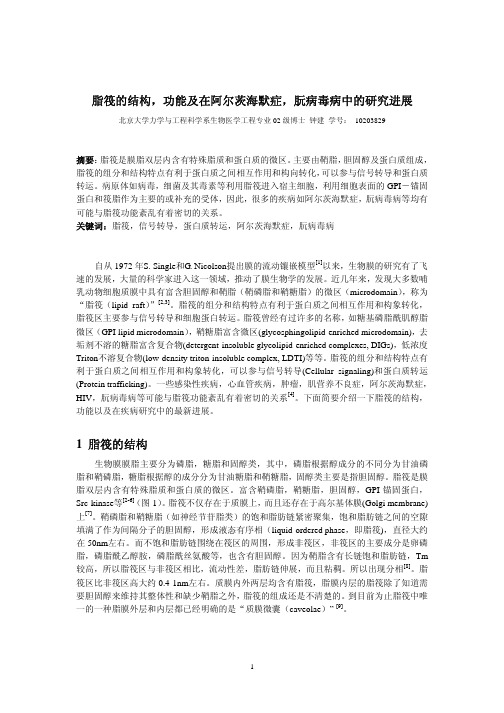 脂筏的结构