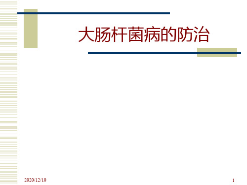 大肠杆菌病的防治PPT教学课件