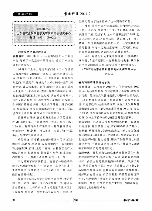 肉鸡葡萄球菌病的诊治
