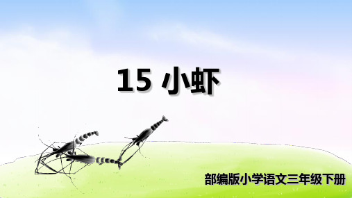 《小虾》PPT课件完美版1