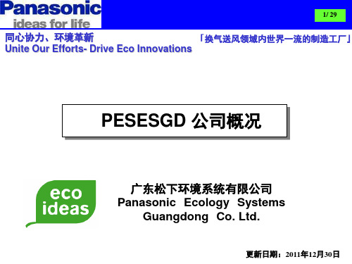 PESESGD 公司简介(中文版)