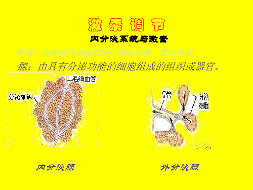 七年级生物激素调节3(201911整理)