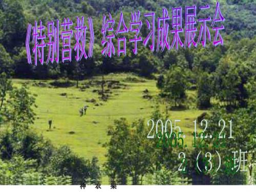 八年级语文特别营救3