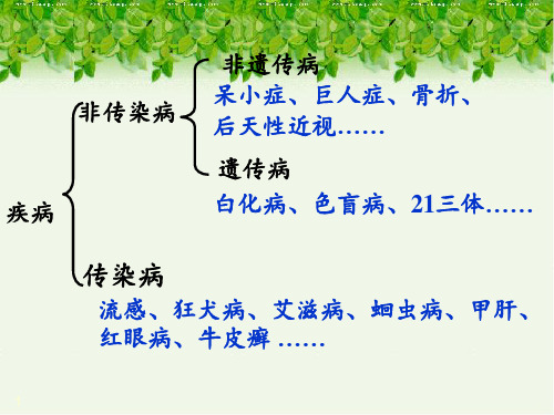关注人类遗传病上课用PPT课件