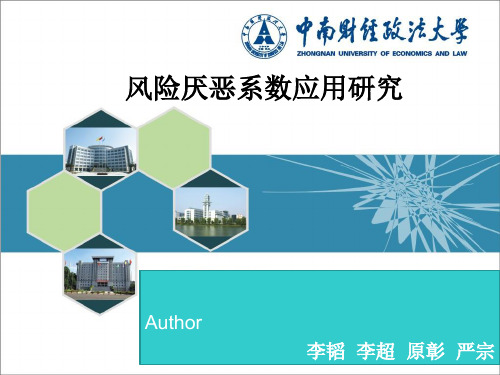 风险厌恶系数ppt课件