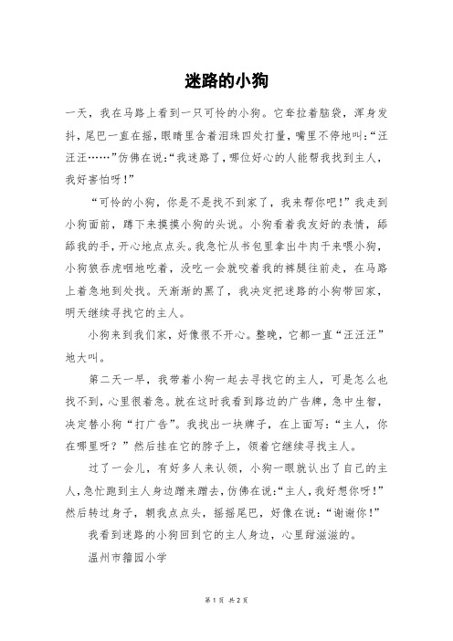 迷路的小狗_五年级作文