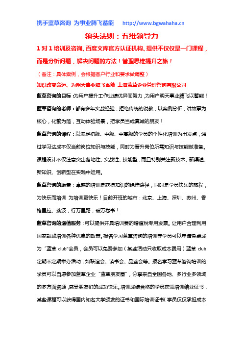 《领头法则：五维领导力》