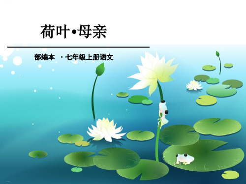《荷叶·母亲》PPT课件-完美版