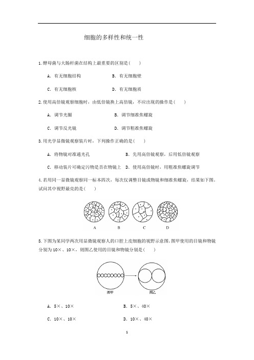 人教版新教材生物必修第一册同步练习 1.2细胞的多样性和统一性(答案)