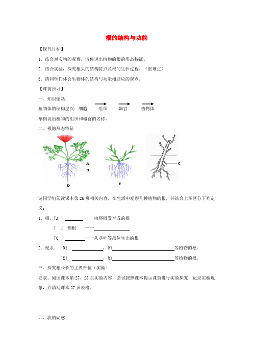 八年级生物上册 4.1.5《根的结构与功能》导学案1(无答案)(新版)济南版