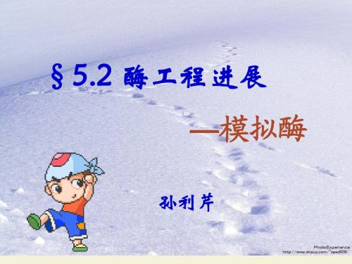 8.模拟酶