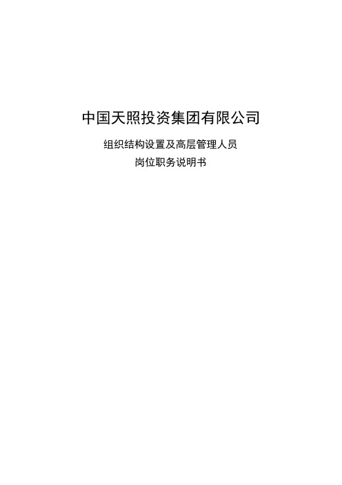天照投资公司组织结构设置及高层管理人员岗位职务说明书