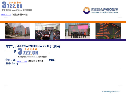恒翔酒业年产5万吨食用酒精项目商业计划书(PPT 38页)