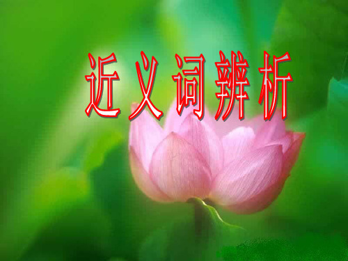 中考语文复习课件：近义词辨析(共49页)