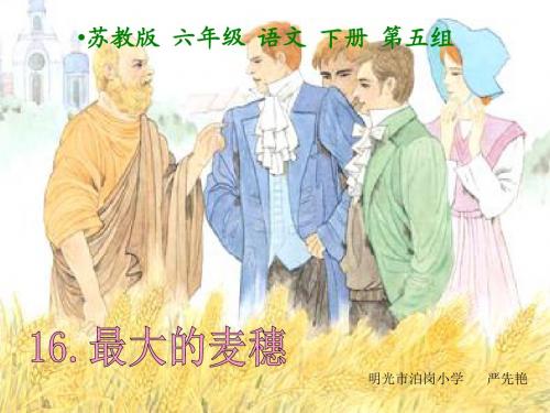 《最大的麦穗》PPT课件(苏教版六年级语文下册课件)