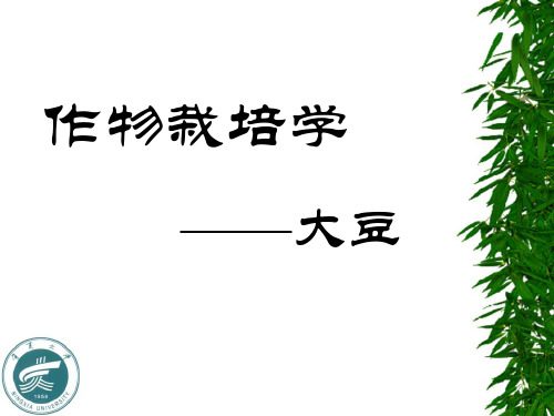 【PPT】-作物栽培学大豆