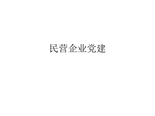 民营企业党建存在问题-PPT文档资料